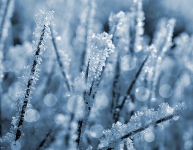 Frost